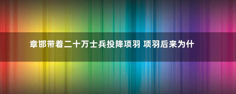 章邯带着二十万士兵投降项羽 项羽后来为什么将他们坑杀